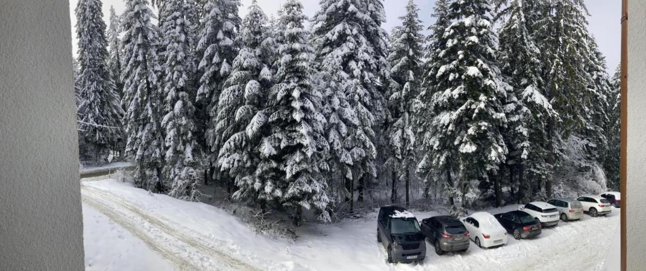 Borovets Gardens Apartment A20 Luaran gambar